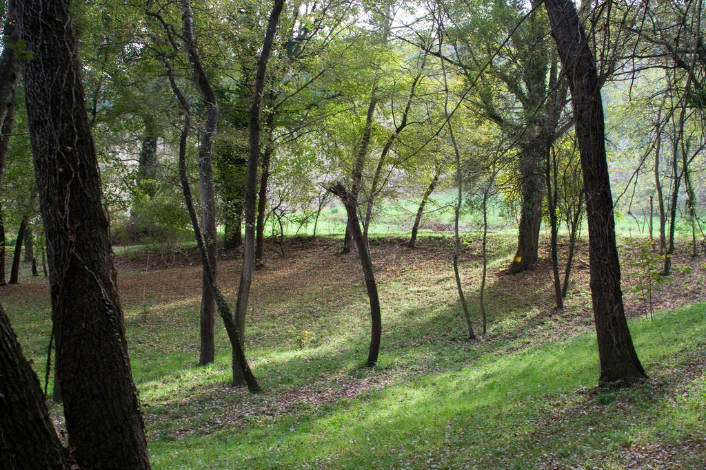 Agriturismo Biologico Villa Rosa Monte Guiduccio Exteriér fotografie