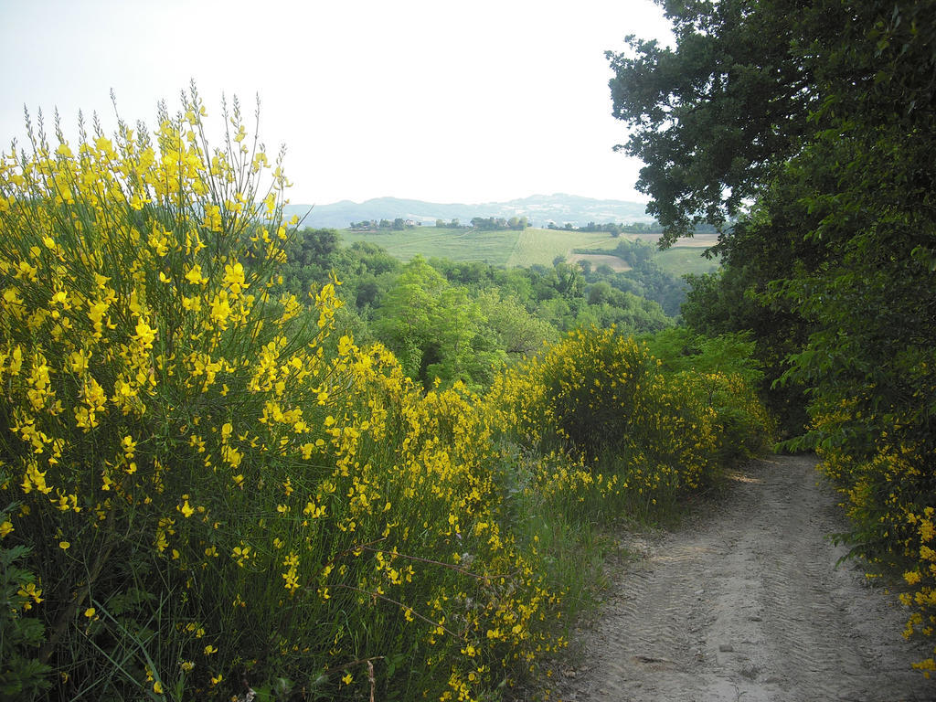 Agriturismo Biologico Villa Rosa Monte Guiduccio Exteriér fotografie