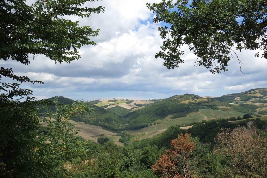 Agriturismo Biologico Villa Rosa Monte Guiduccio Exteriér fotografie